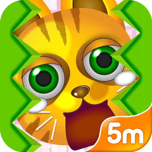 Bounce The Cat iOS App