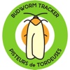 Budworm Tracker
