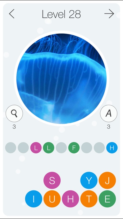 Guess the Pic! 2 ~ Close up Photo Quiz