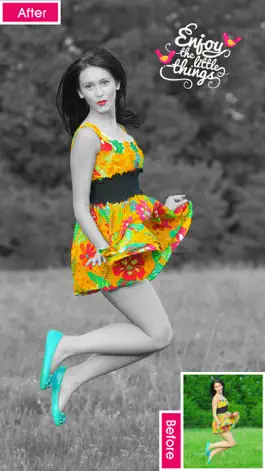 Game screenshot KingSplash - Photo color and recolor splash effect apk