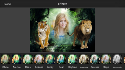 Screenshot #3 pour Wild Animal Photo Frames & Photo Editor