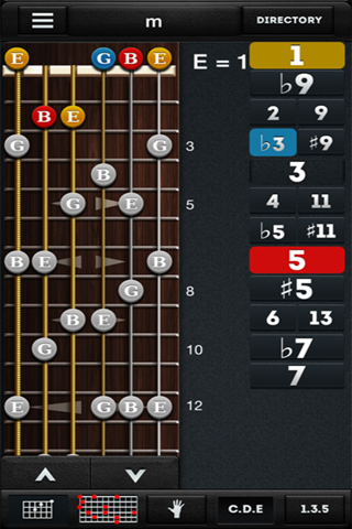 RealChords screenshot 4