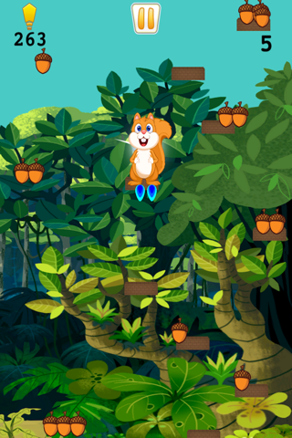 Squirrel Happy Jump Nut - Fun Acorn Collecting Adventure screenshot 3