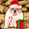 A Talking Fat Dog HD - Christmas Edition