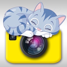 Activities of Cat Snap - Photo Bomb Funny Cats Instantly Into Your Photos With Kitty Collage & Picture Frames HD