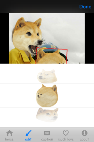 dogeface screenshot 3