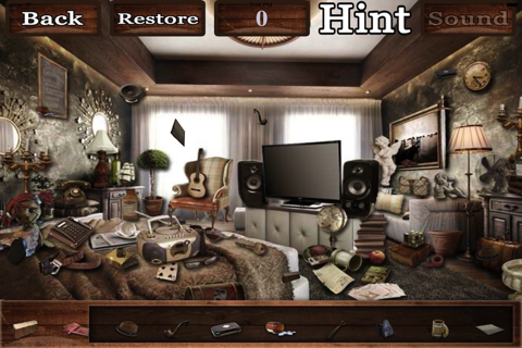 Hidden Objects??? screenshot 4