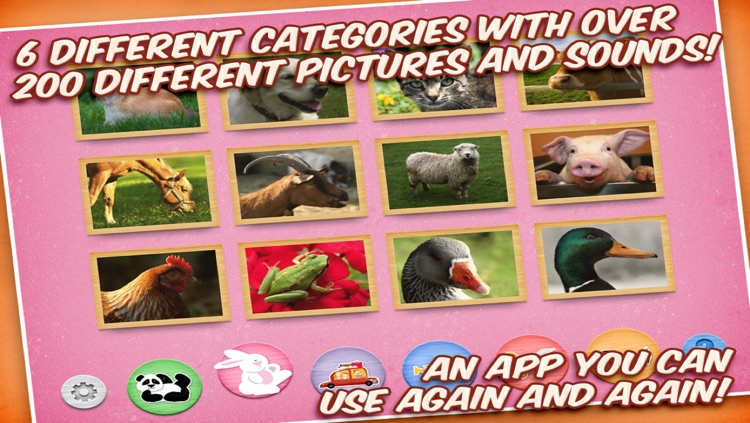 PICTURE BOOK FOR KIDS - Touch & Listen