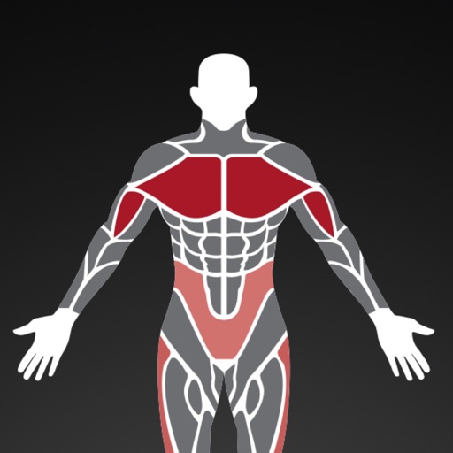 Muscle Manager : Gym Workouts Icon