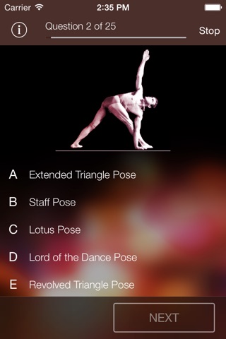 Yoga-Poses screenshot 2