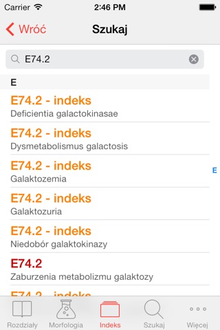 ICD-10 PL screenshot 3