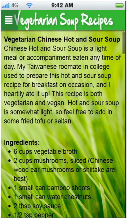 Vegetarian Soup Recipes+: Healthy Soup Recipes screenshot-4