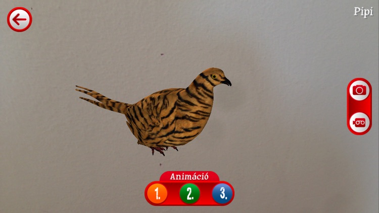 3DKifestő screenshot-4