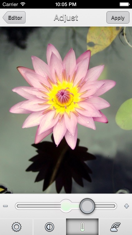 Perfect Photo Pro