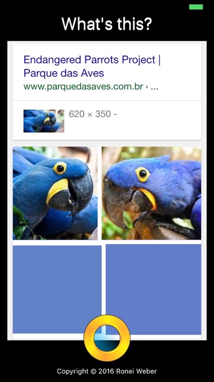 What is This? Photo Search