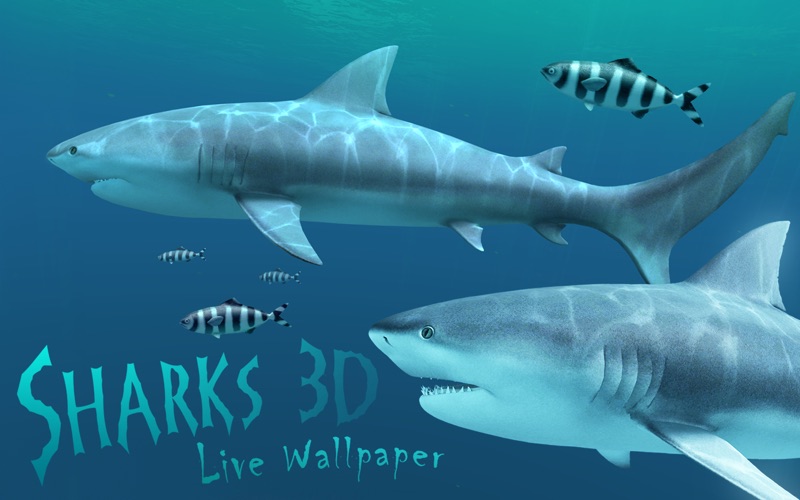 Sharks_3D.app caprure 1 1_Sharks_3D.jpg