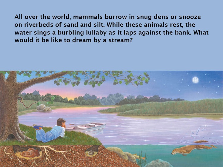 River Beds: Sleeping in the World's Rivers