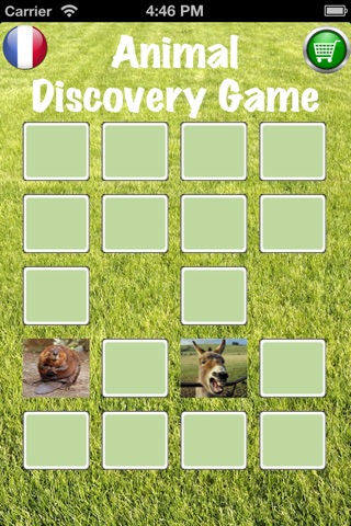 Animal Discovery Game screenshot 3