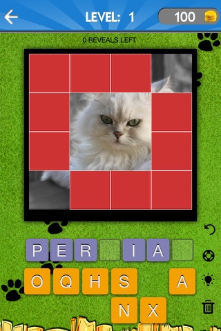 What's That Cat? - Reveal And Guess The Breed Challenge screenshot 2