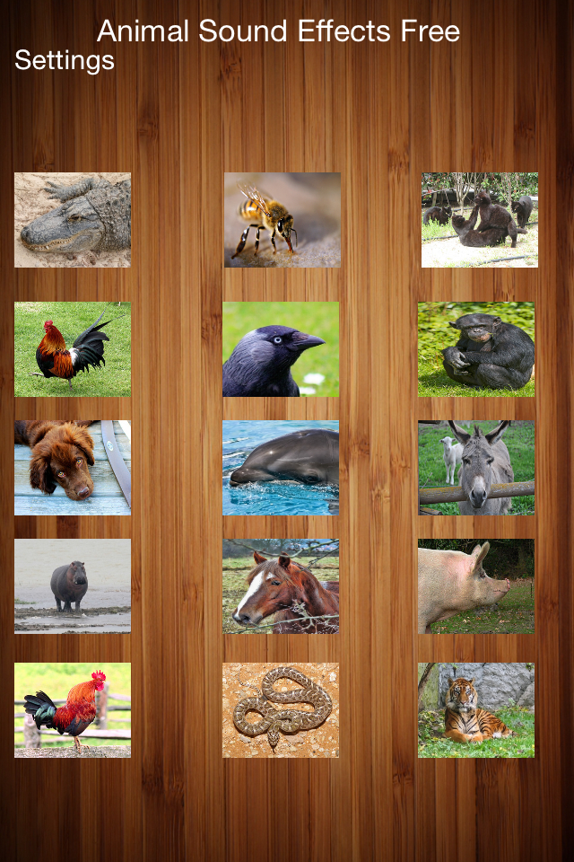 Animal Sound Effects Free