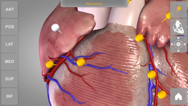 Heart - 3D Atlas of Anatomy Lite(圖4)-速報App