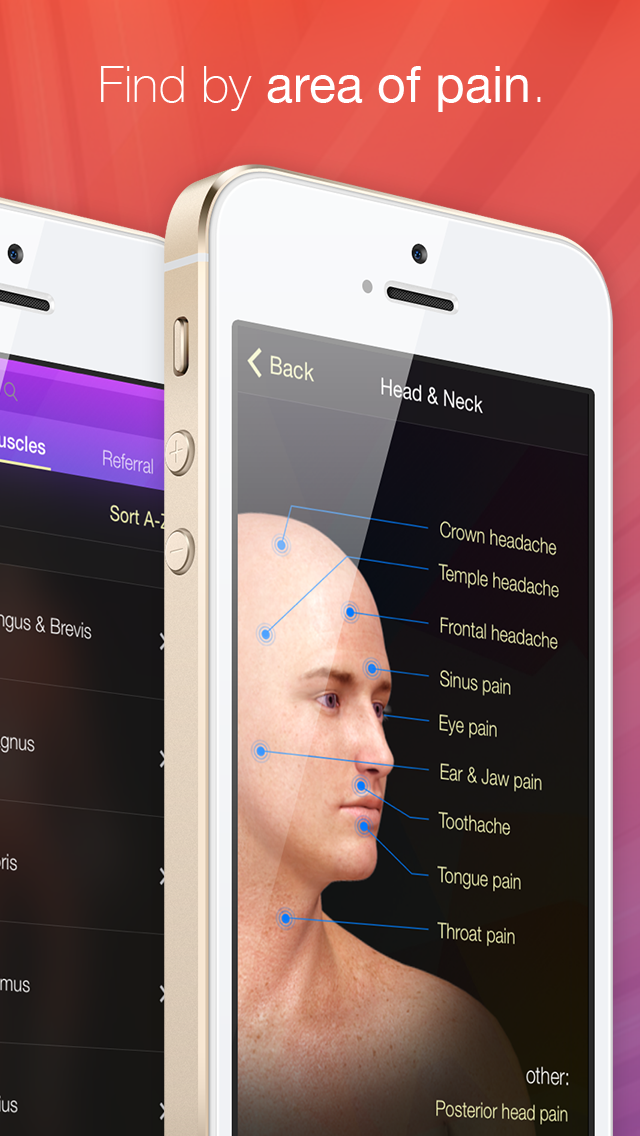 Screenshot #3 pour Trigger Points - Guide & Reference