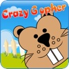 Crazy Gopher