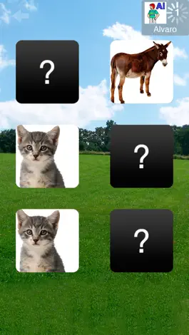 Game screenshot Picaa hack