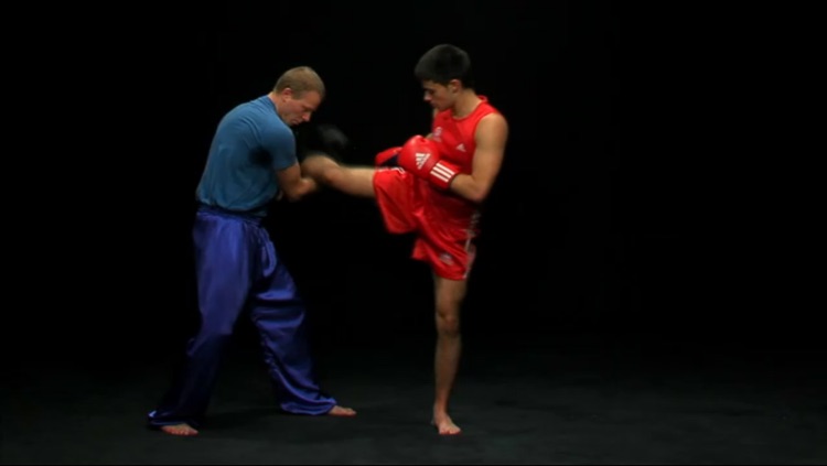 Sanda - Chinese Boxing
