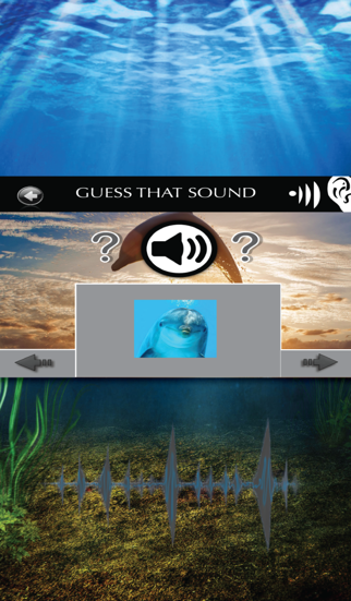 Fun Dolphin Sounds iPhone screenshot