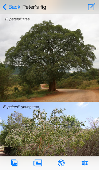 eTrees of Southern Africa LITEのおすすめ画像1