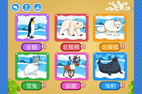 极地动物拼图 screenshot 2