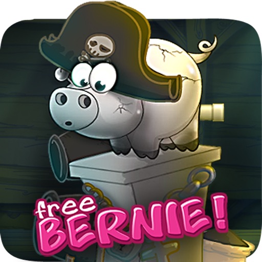 Bernie Pirates iOS App