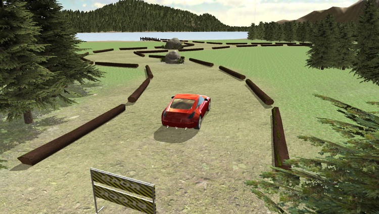 Auto Drive Car Parking Challenge Free screenshot-3