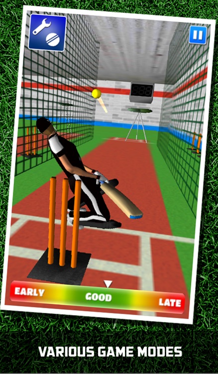 Cricket Simulator 3D screenshot-3
