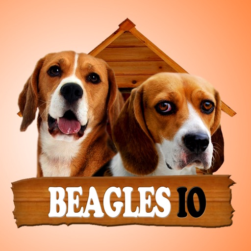 Beagles IO icon