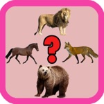 kids Preschool Animal Learning with Animal Name Sounds