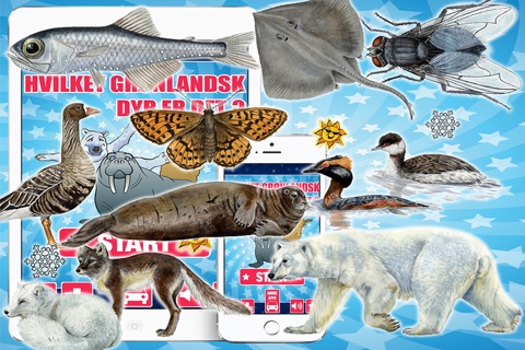 Hvilket Grønlandsk Dyr Er Det? screenshot 4