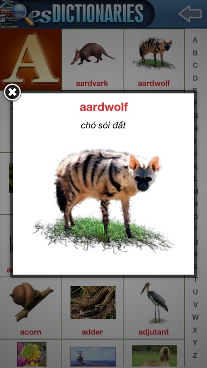 esDictionaries screenshot-4