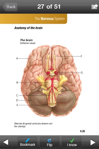 Anatomy & Physiology Plus Flash Cards screenshot 4