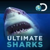 Ultimate Sharks Free - iPadアプリ