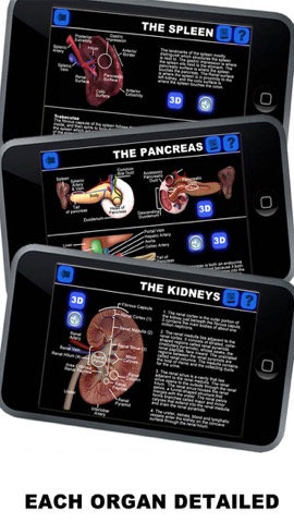 Anatomy Masterのおすすめ画像7