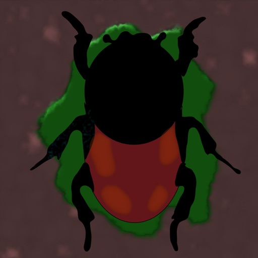 Smash The Beetles icon