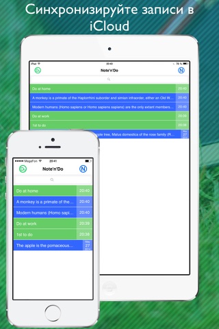Note & Do Premium - creating and editing two notes with to-do lists at the same time on one screen screenshot 4