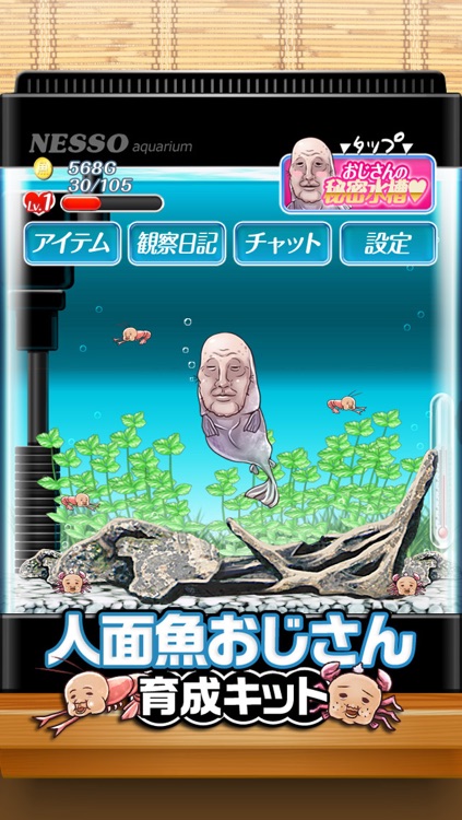 育成ゲーム 人面魚おじさん育成キット By Jyunji Satoda