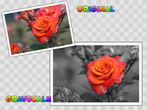 Screenshot #3 for Photo Splat Free