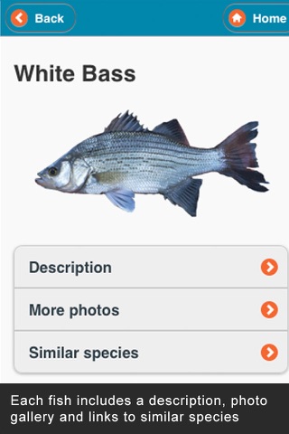 WI Fish ID screenshot 4