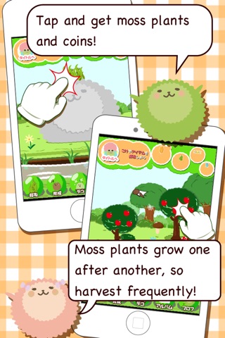 Koke-O 〜Raise a moss plant & decorate it〜 screenshot 2