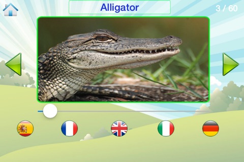 Animal Sound And Name - How To Call Them In English, French, Spanish, German and Italian screenshot 3
