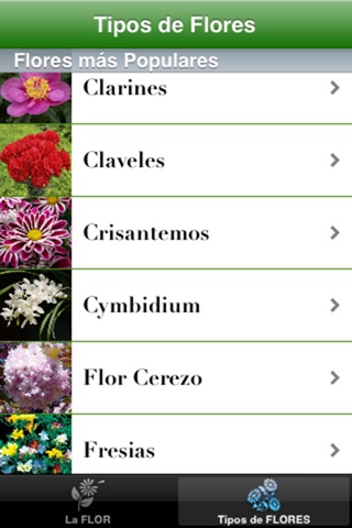 Flores del Mundo screenshot 2